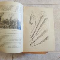 LIBRETTO IL PLOTONE DI FANTERIA NEL COMBATTIMENTO