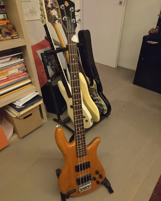 Basso Spector Legend + Amplificatore Ashdown
