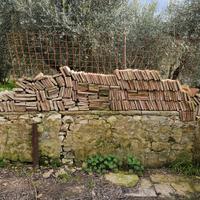 mattoni antichi toscani 