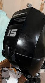 Fuoribordo 15 cavalli