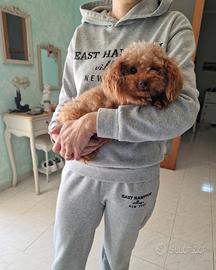 Barboncina Toy 7 anni tripode adozione speciale