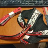 GUINZAGLIO E PETTORINA FIRMATI CARPISA.