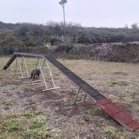 Attrezzatura agility dog