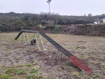 Attrezzatura agility dog