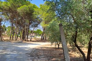 Terreno 2000 mt a Chiatona 500 mt dal mare