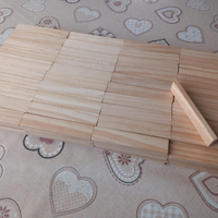 Secchiello con 200 mattoncini in legno