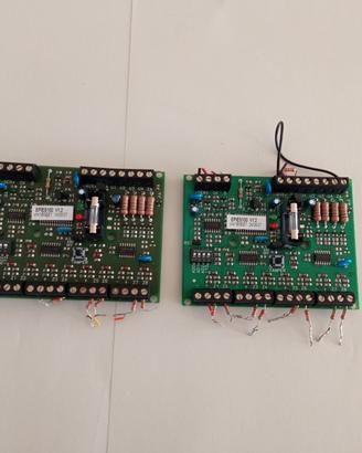 EP/ES100 V12 n. 2 schede espansione allarme