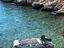 Immagine 1