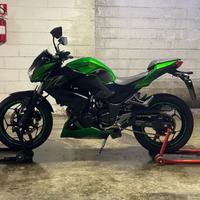 Kawasaki Z 300 - 2016 ABS