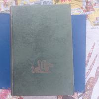 IL VIAGGIATORE SEDENTARIO