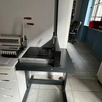 Tagliarisme professionale