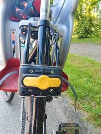 seggiolino bici