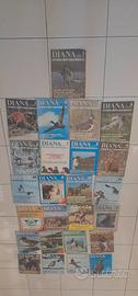 collezione completa riviste Diana del 1979