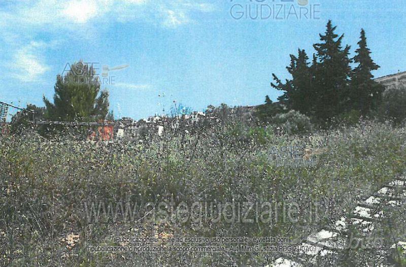 Terreno Agricolo Minervino Murge [A4316576] - Vista 5