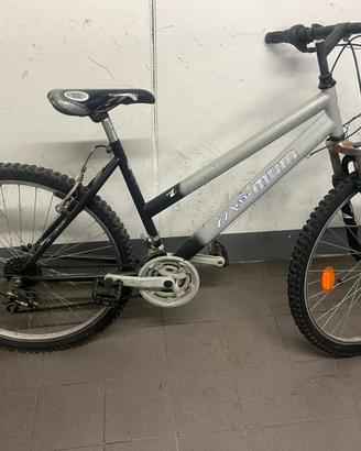 Bicicletta. Mountain Bike