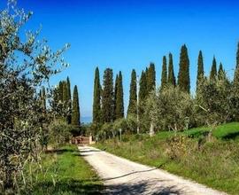 Villa con riserva di caccia Pisa