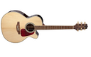 takamine-gn71cenat-1-mese-di-vita