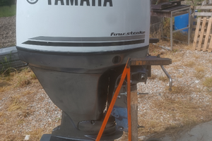 Fuoribordo Yamaha F 100