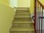 Immagine 12