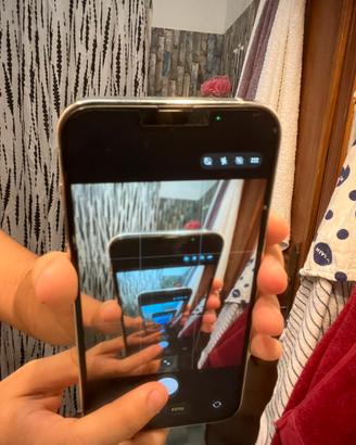 iphone 13 pro max 256gb