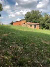 Rustico con terreno