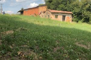Rustico con terreno