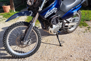 Suzuki XF Freewind 650