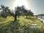 Immagine 14