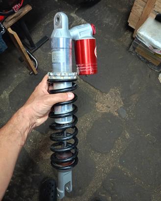 Mono ammortizzatore ZF Beta