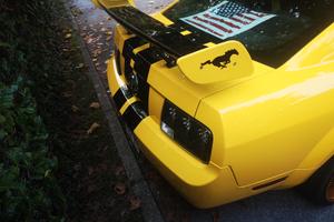 mustang 4.0 v6