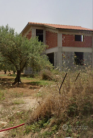 Villetta con uliveto