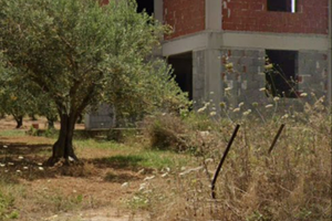 Villetta con uliveto