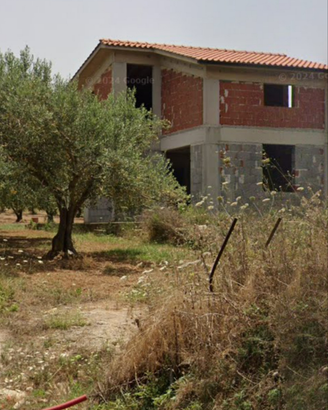 Villetta con uliveto