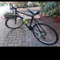 bici da uomo