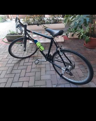 bici da uomo