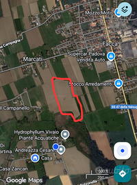 Terreno agricolo 41652 mq