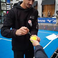 Tennis Pallina Autografata Lorenzo Sonego ATP