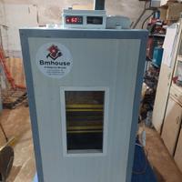 incubatrice 