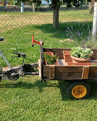 Cargo Bike artigianale con anta ribaltabile 