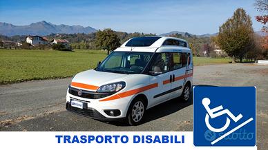 Fiat doblo' xl trasporto disabili 1.6 rif.203c