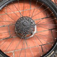 3 Ruote da enduro/downhill