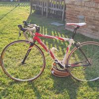 Bici da corsa Colnago arte