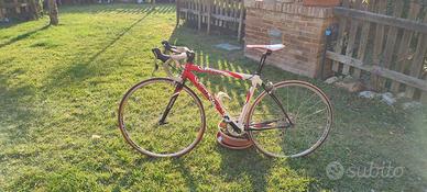 Bici da corsa Colnago arte