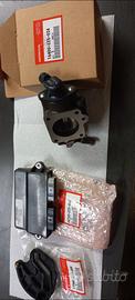 modifica fuoribordo honda 50 cavalli. 