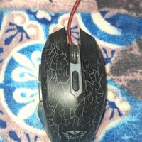 Tastiera + mouse  GXT