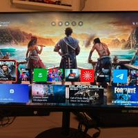 Monitor acer nitro xv2