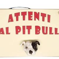 Targa in legno Cane Pit Bull in resina