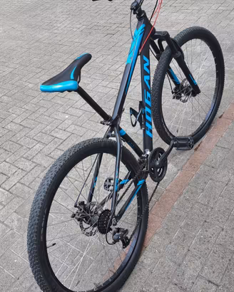 Mountain Bike ruote 29 freni a disco