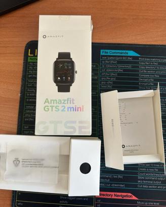 Amazfit GTS2 mini