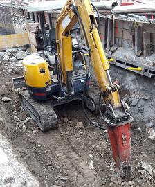 Mini escavatore 25 quintali -